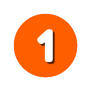 top 1 theme wordpress
