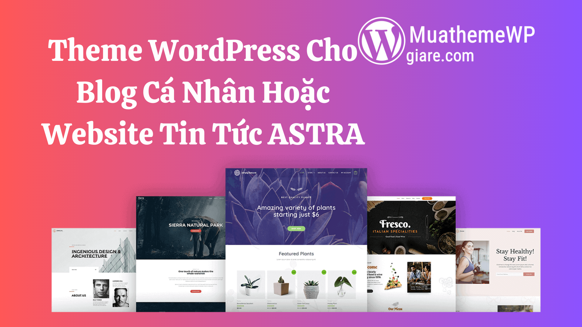 Theme WordPress Cho Blog Cá Nhân Hoặc Website Tin Tức ASTRA