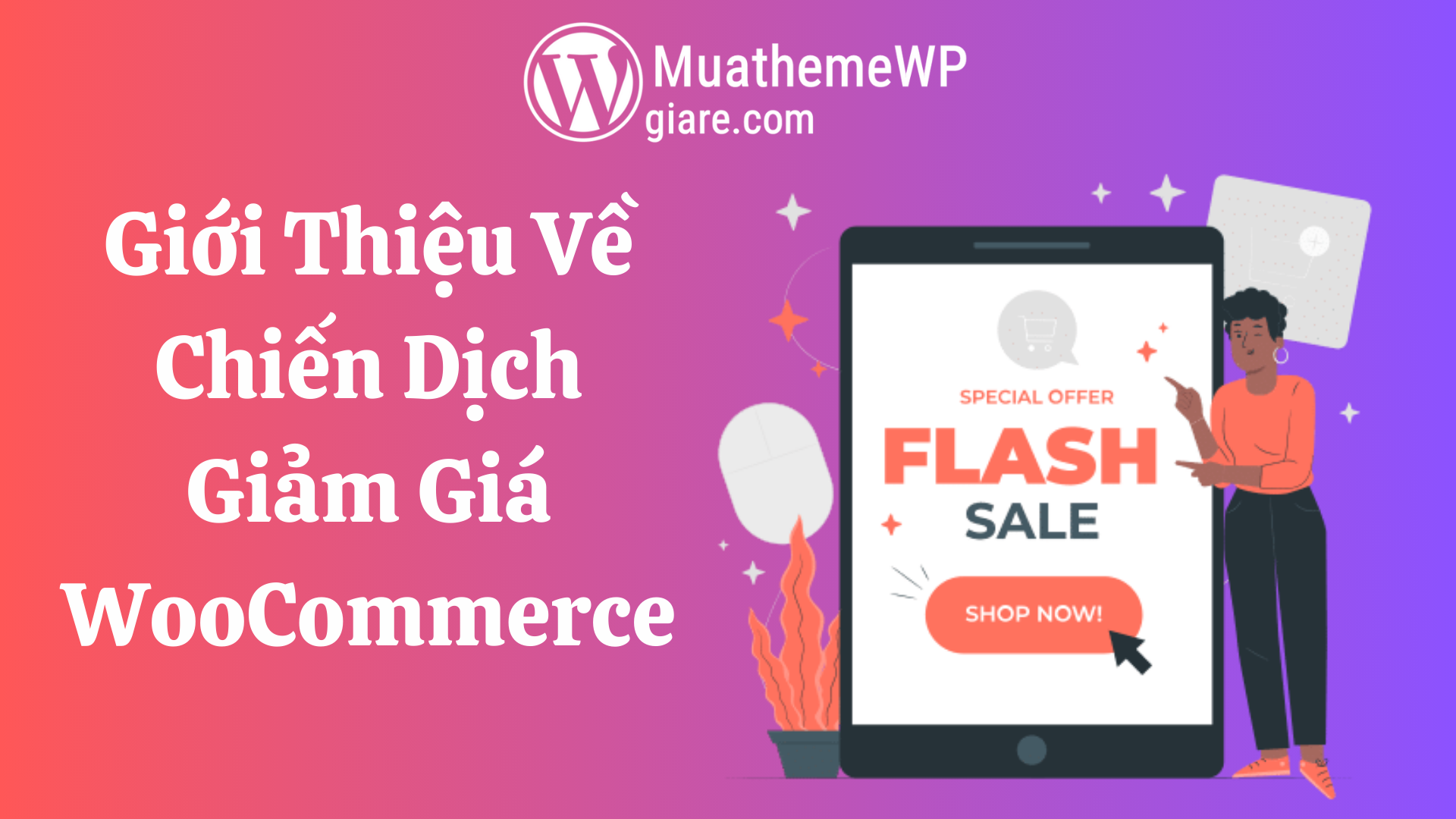 tao chien dich giam gia woocommerce 2