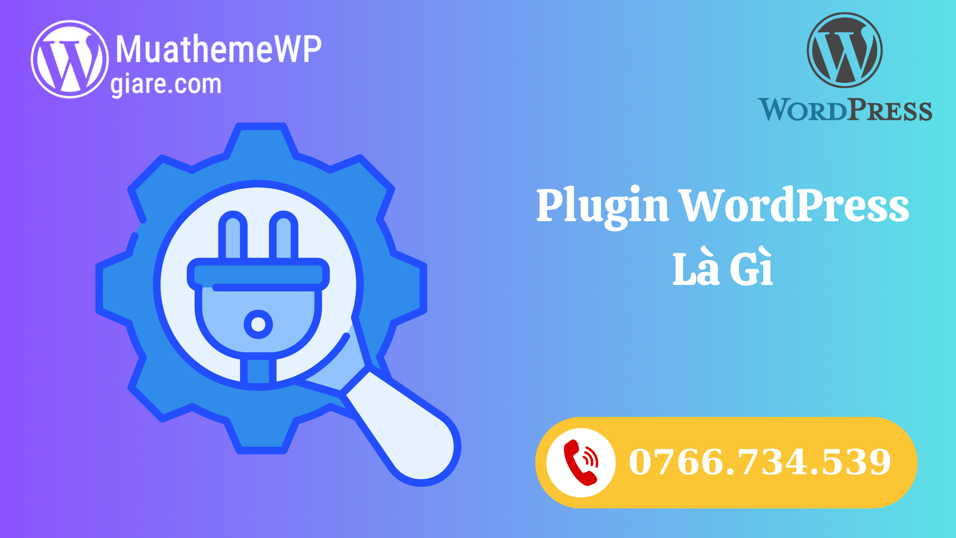 Hướng Dẫn Tự Code Chức Năng Plugin WordPress