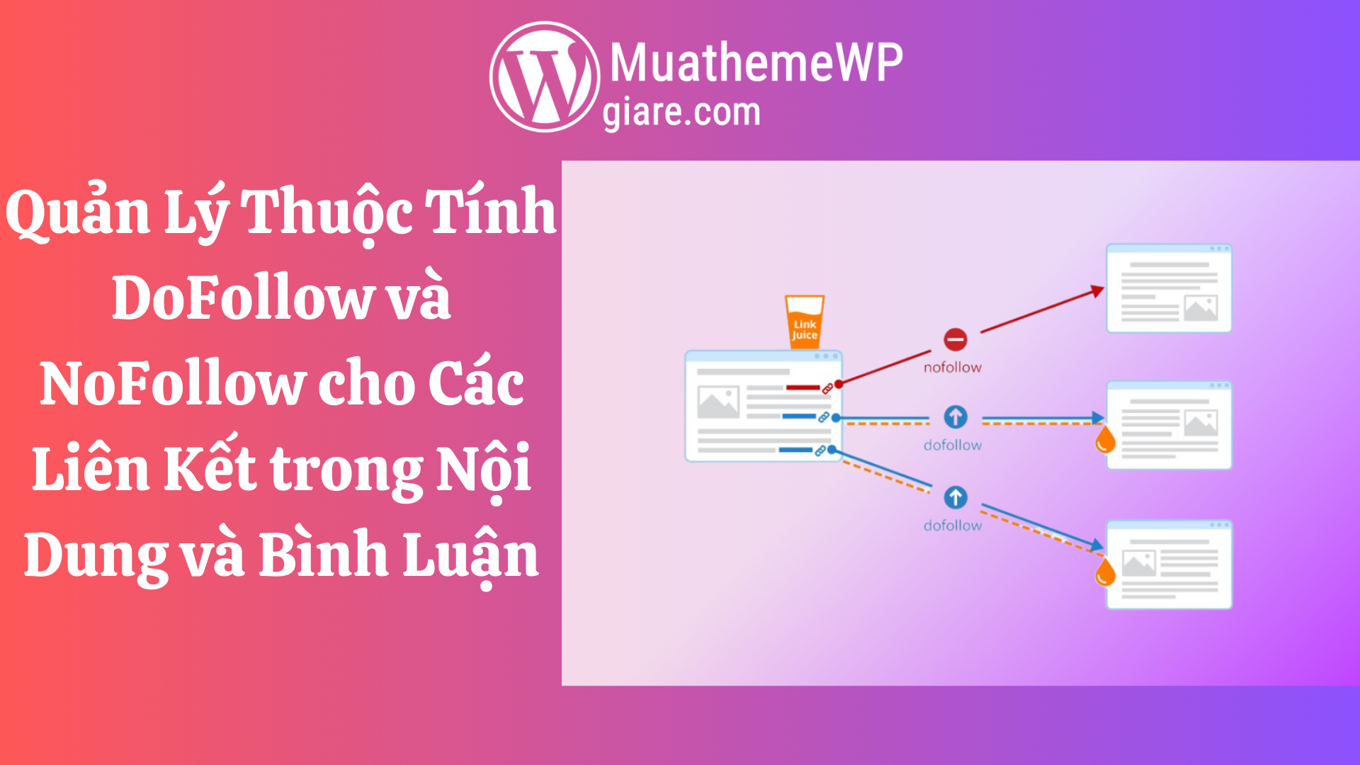 Quản Lý Thuộc Tính DoFollow và NoFollow cho Các Liên Kết trong Nội Dung và Bình Luận