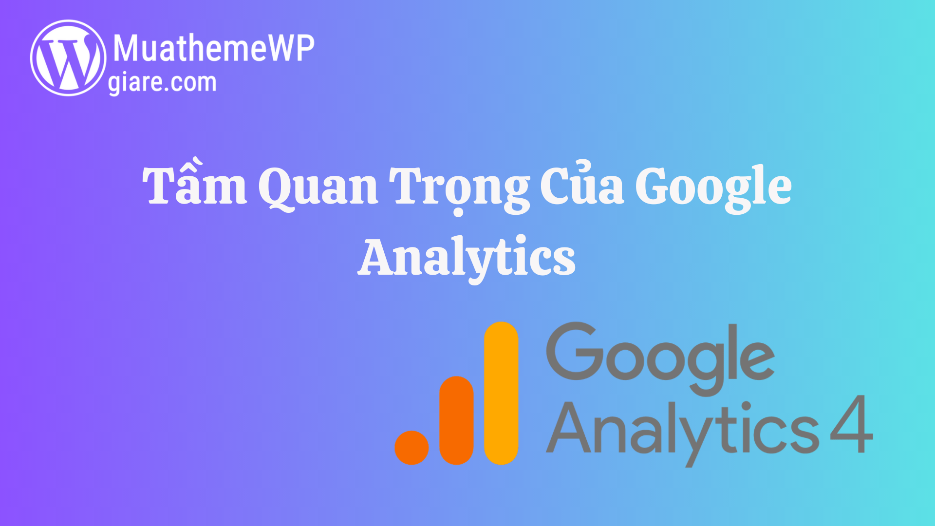 cach su dung google analytics de theo doi traffic