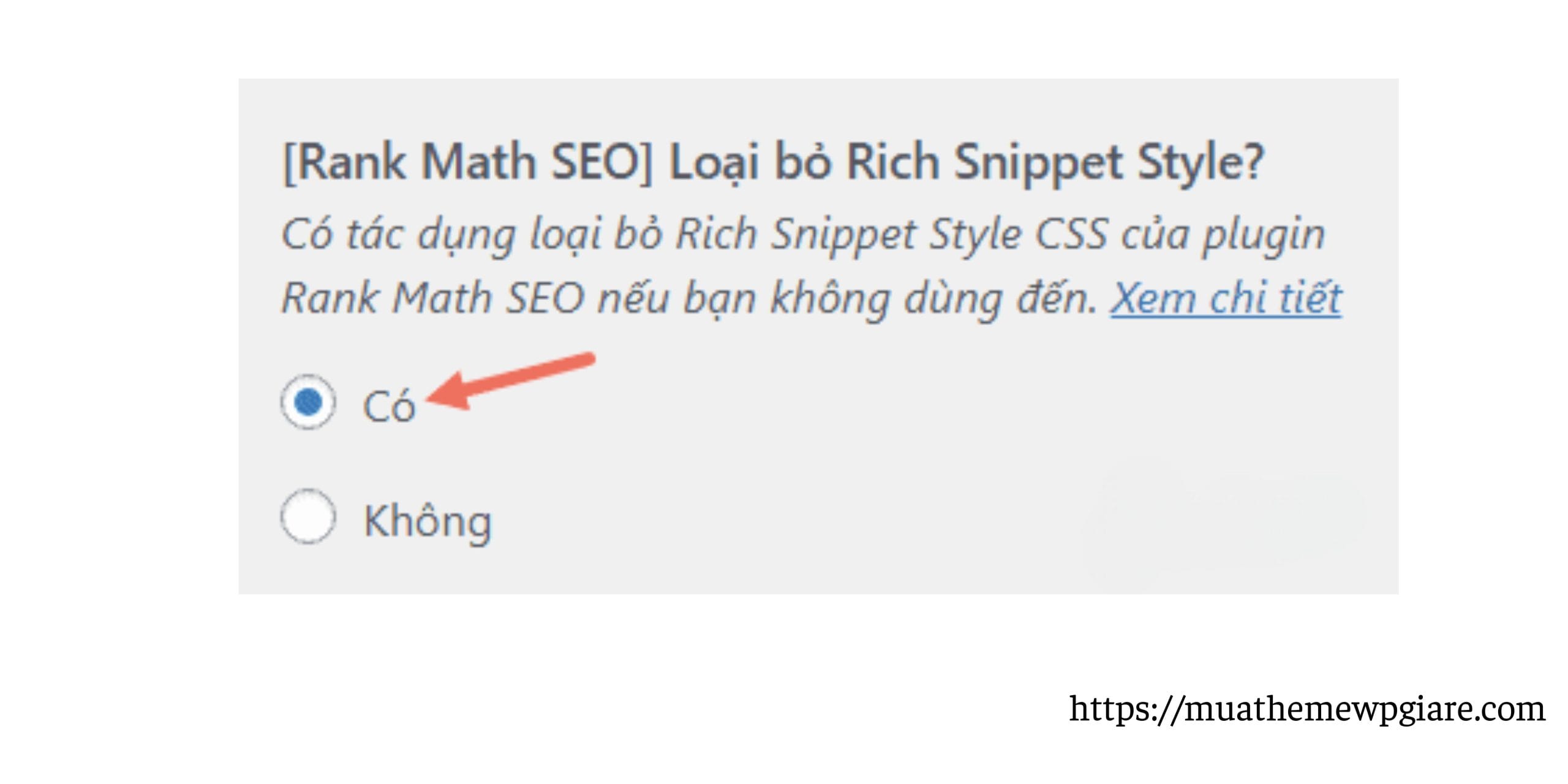 Rank Math SEO CSS co anh huong den tang toc do load 1 scaled