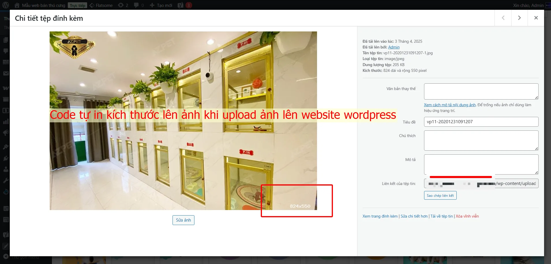 Code tự in kích thước lên ảnh khi upload ảnh lên website wordpress