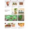 Theme wordpress bán sâm ngọc linh