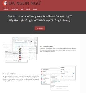 Tải Polylang Pro – Plugin Đa Ngôn Ngữ Chuyên Nghiệp Cho WordPress