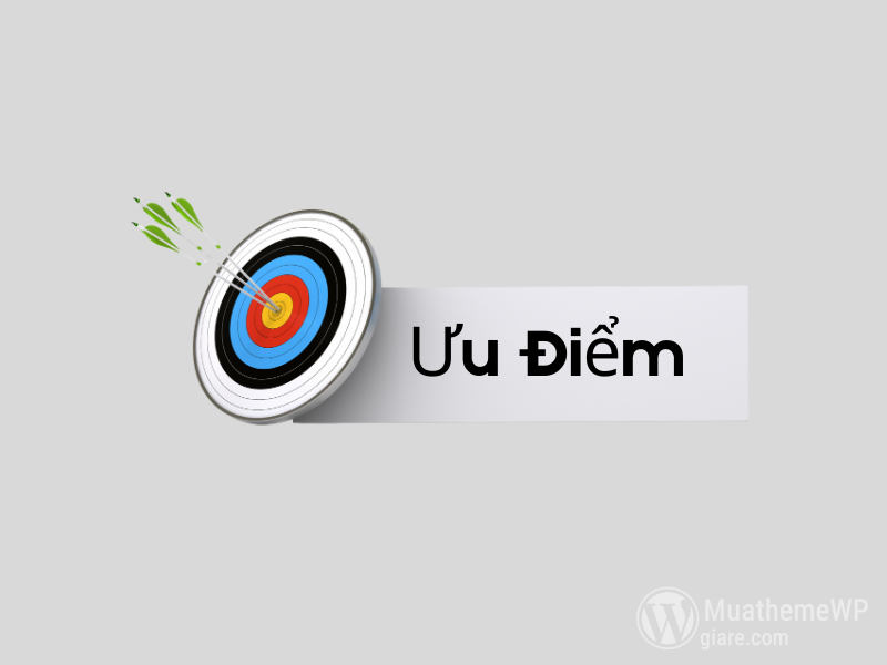 Huong Dan Mua Theme WordPress Ban Quyen Gia Re 4