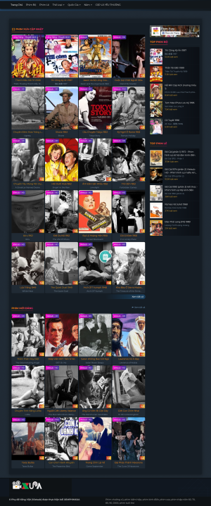 Theme wordpress website xem phim online với nhiều chức năng