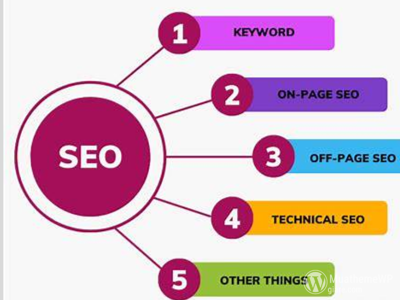 Lo trinh hoc SEO cho nguoi moi bat dau tu con so 0 2