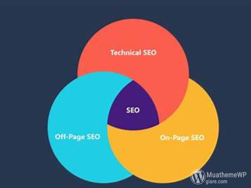 Lo trinh hoc SEO cho nguoi moi bat dau tu con so 0 3